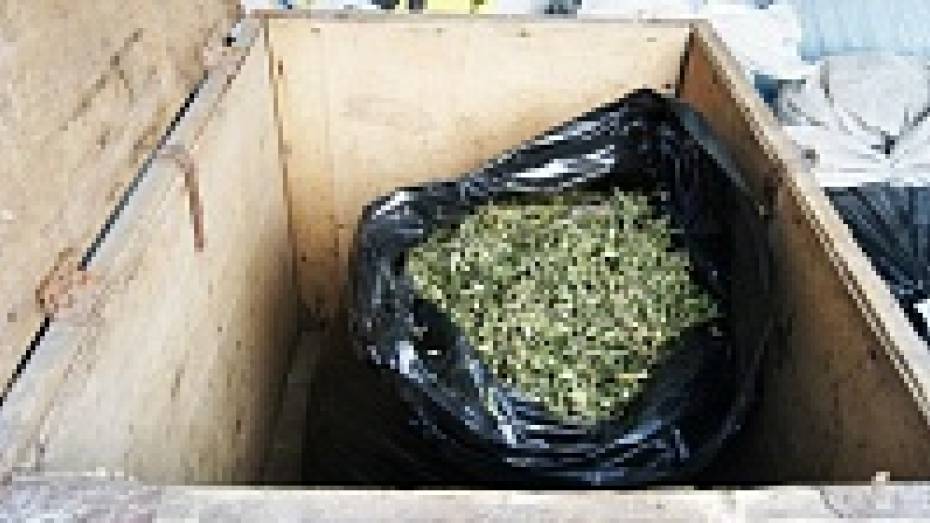 Аннинские полицейские изъяли у местного жителя более полутора килограммов марихуаны