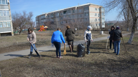 Верхнемамонцы провели первый в этом году субботник