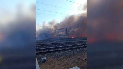 Масштабный пожар в воронежском микрорайоне Отрожка локализовали на площади 1,5 га