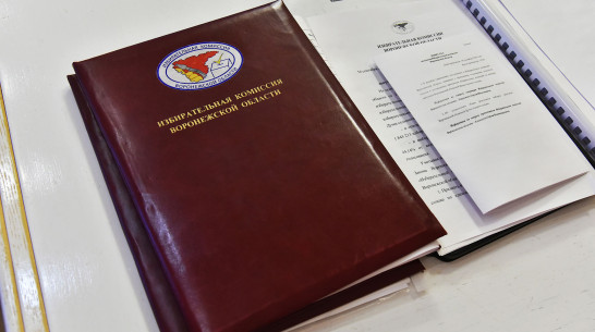 Воронежский облизбирком зарегистрировал 32 кандидата в депутаты Госдумы