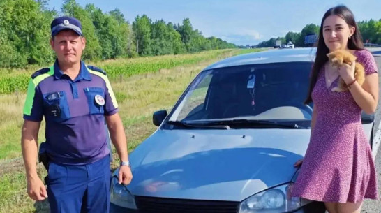 Воронежские полицейские помогли девушке, которая по пути из Волгоградской области пробила колесо