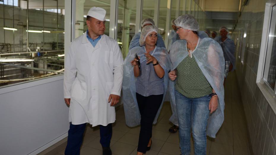 Голландские фермеры оценили работу молочного сектора в Воронежской области