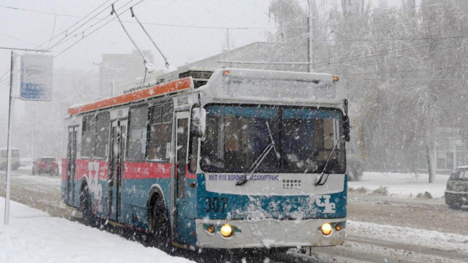 В мэрии Воронежа назвали причину малого количества троллейбусов на маршрутах
