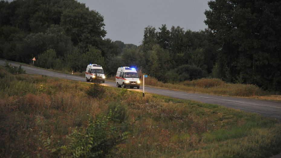Renault перевернулся в Воронежской области: подростка и женщину госпитализировали