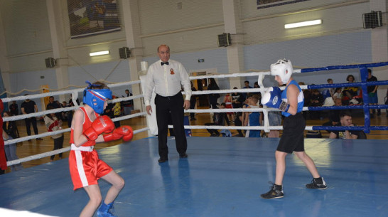 В Каширском пройдет турнир по боксу «Пересвет» с 25 по 30 апреля