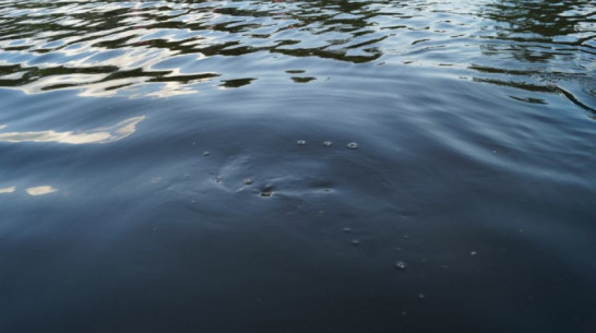 В Воронежской области мужчина пошел на пруд купаться и утонул