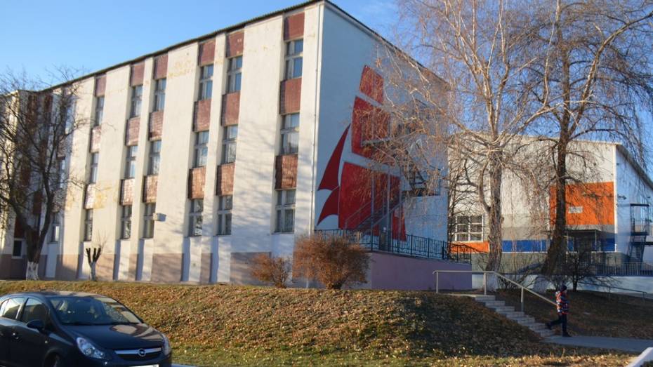 Верхнемамонскую детскую школу искусств капитально отремонтируют впервые за 35 лет