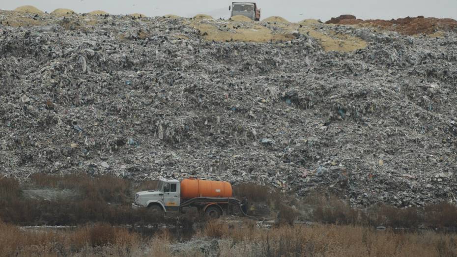 Вице-премьер пообещал Воронежу помощь с переработкой мусора