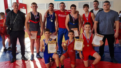 Россошанцы взяли 7 медалей на региональном турнире по греко-римской борьбе