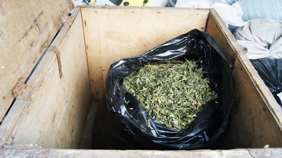 Полиция нашла у жителя Воронежской области 1,5 кг марихуаны