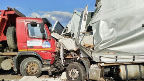 Следователи заинтересовались аварией со слетевшей с трассы фурой в Воронежской области