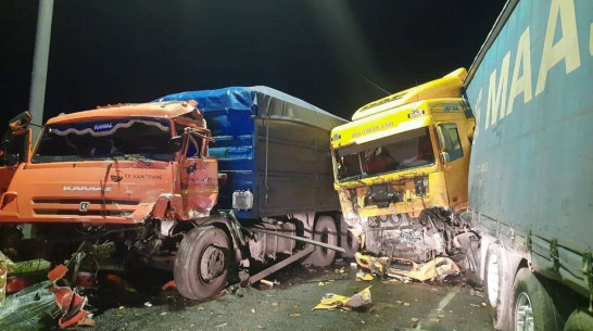 Два человека погибли в массовом ДТП с грузовиками в Воронежской области