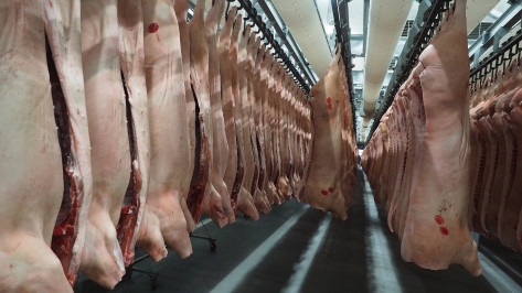Производство мяса в Воронежской области выросло на 57,5 тыс тонн в 2022 году