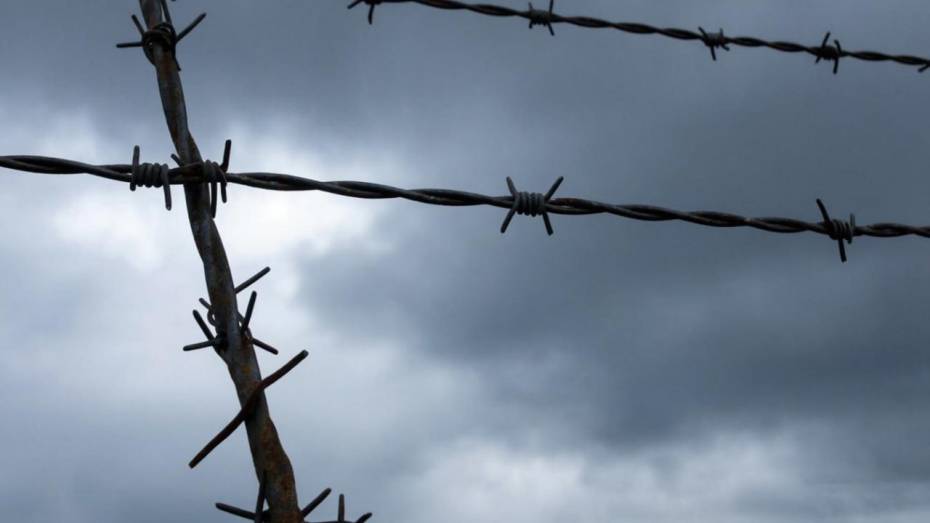 Губернатор обратился к воронежцам в Международный день освобождения узников фашистских концлагерей