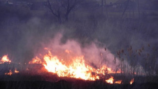 В Воронежской области спасатели за сутки потушили 59 ландшафтных пожаров