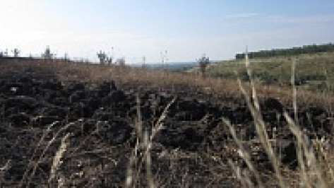Бутурлиновский район по числу пожаров побил рекорд «огненного» 2010 года