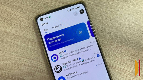 Для воронежских школьников мессенджер MAX станет обязательным