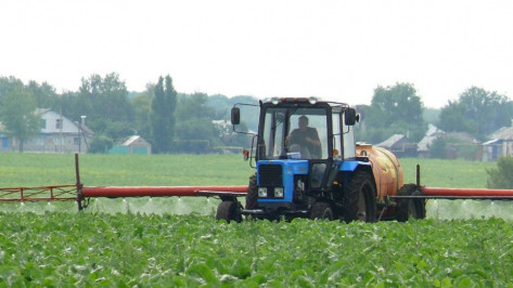 Аграрии Воронежской области выполнили план по посеву на 91%