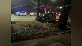 В Воронеже на улице 9 Января машина врезалась в дерево