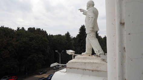 В опросе о замене статуи на входе в Воронежский ГАУ приняли участие 14 тыс человек