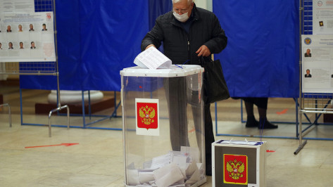 В Воронежской области избирателя с собственными бюллетенями арестовали на 7 суток
