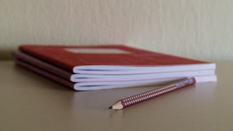 В Воронежской области директора школы осудили за мошенничество