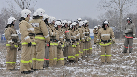Усиленную подготовку к борьбе с лесными пожарами провели в Воронежской области