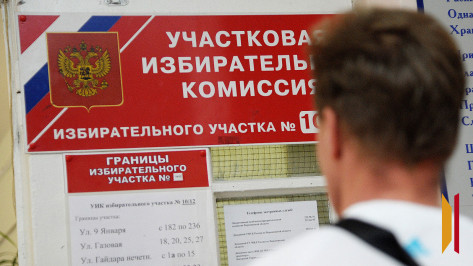 Общественная палата Воронежской области запустила горячую линию для избирателей