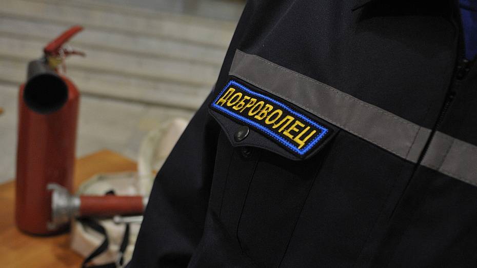 Воронежские добровольцы потушили 209 пожаров с начала года