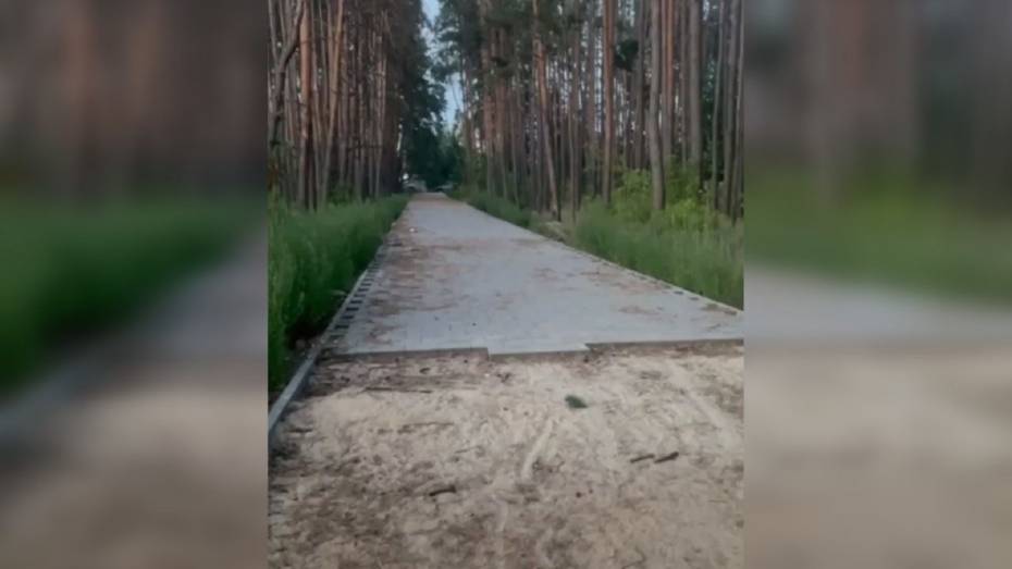 Воронежцы пожаловались на затянувшееся благоустройство парка имени Северцова