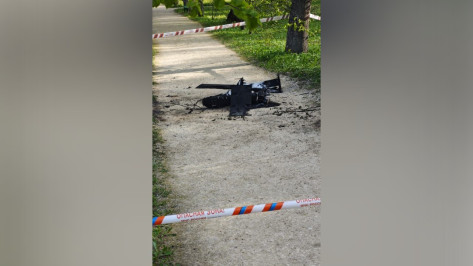 Воронежцам рассказали, где были сбиты БПЛА в ночь на 29 апреля: обломки рухнули на музей