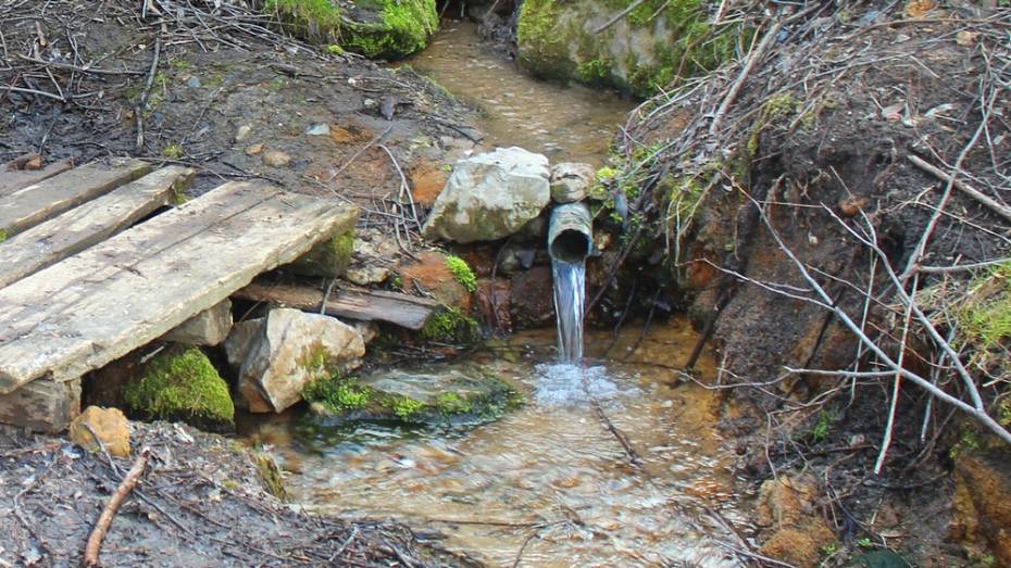 Семилукские журналисты запустили экоакцию «Напиться воды и не отравиться»