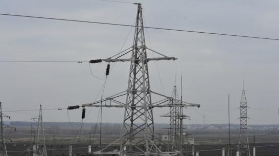 Под Воронежем двое парней украли километр электропроводов