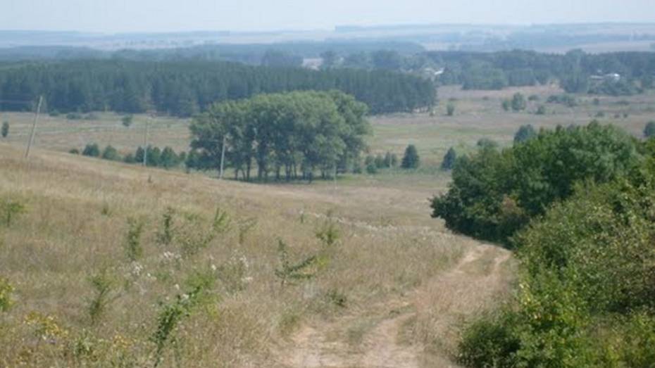 Жители Терновского района нашли в лесу труп женщины