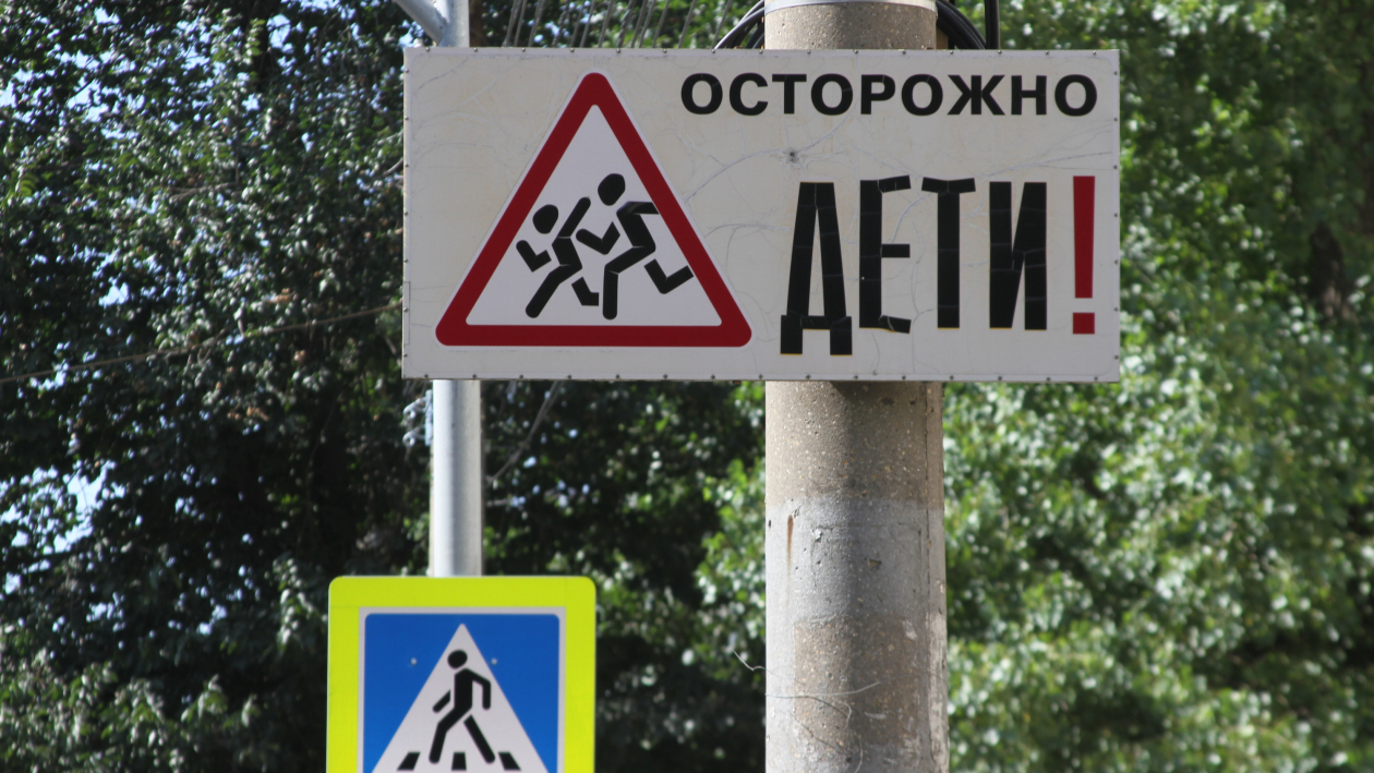 Право на отдых. Как в Воронежской области работает программа льготных путевок для детей
