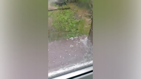 Град выпал в Воронежской области 16 июня: видео