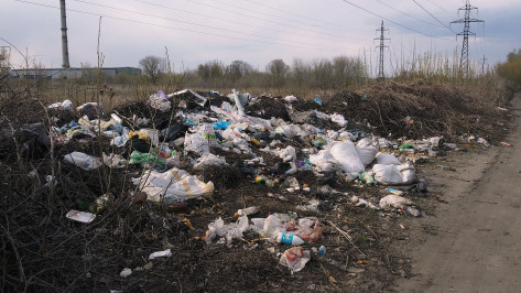 Региональный оператор отсудил у воронежских садоводов 300 тыс рублей за вывоз мусора