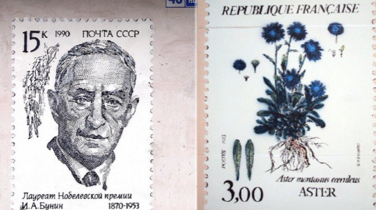 Воронежские «литературные граффити» вошли в топ-10 стрит-арта СНГ