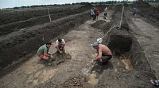 Под Новохоперском обнаружили 400 курганов-могильников возрастом 4 тысяч лет  
