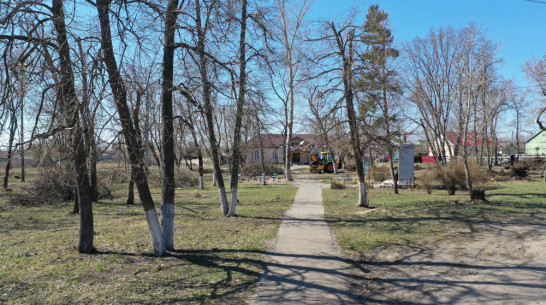 В новоусманском селе Рыкань на благоустройство парка направят 4,3 млн рублей