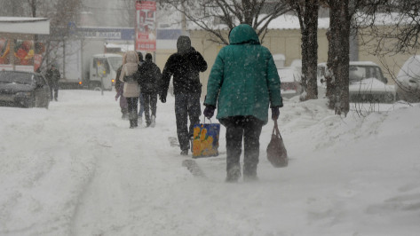 Желтый уровень погодной опасности ввели в Воронеже из-за сильного ветра и гололедицы