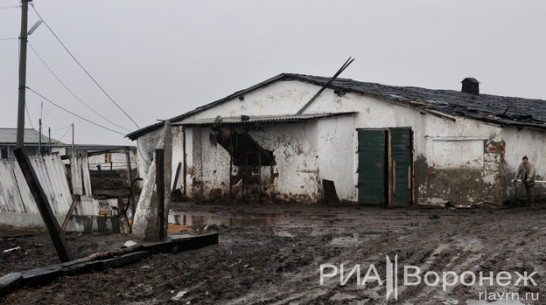 В Воронежской области фермера, который побоями принуждал людей к рабскому труду, освободили в зале суда