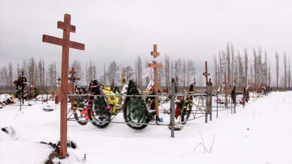 Мэр Воронежа оценил минимальный набор «похоронных» услуг в 8 тыс рублей