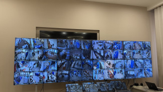 Как в воронежском Центре общественного видеонаблюдения реагируют на нештатные ситуации