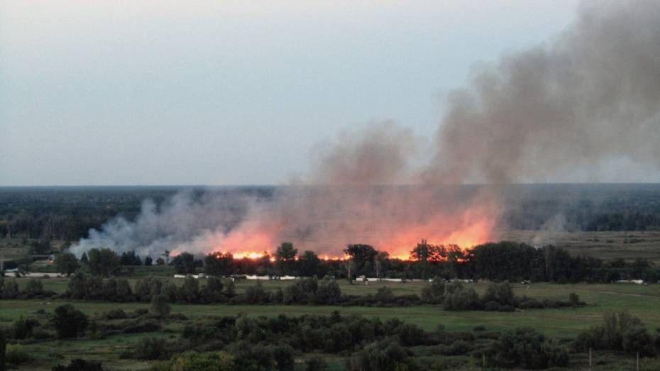 МЧС предупредило о наивысшей пожароопасности на юге Воронежской области