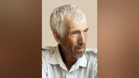 Пенсионер из воронежского хутора Лощина пошел набрать травы для кур и пропал