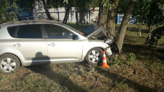 В Павловском районе KIA Fit врезалась в дерево: пострадали 4 человека