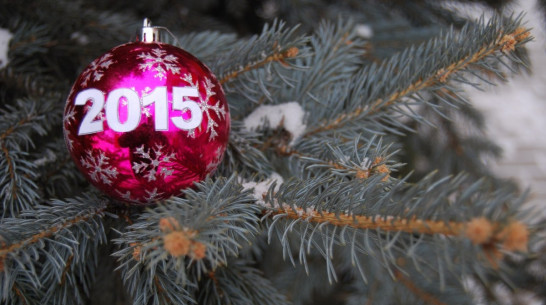 Снежная буря в Воронеже закончится в ночь на 31 декабря