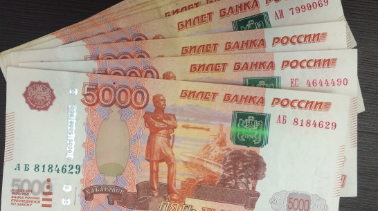 Средняя предлагаемая зарплата в Воронеже достигла 51,3 тыс рублей