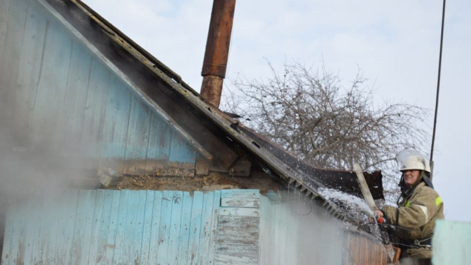 Соседи спасли пенсионерку от гибели на пожаре в Воронежской области